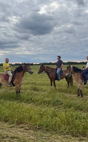 Horseback ride across a field