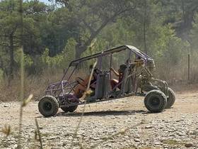 Buggy on a forest road